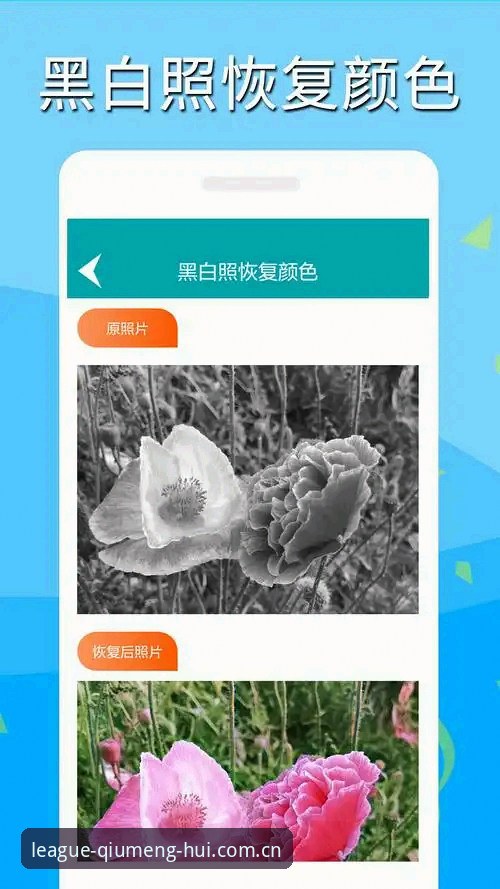 球盟会app安卓版下载不了的常见障碍与解决路径深度分析